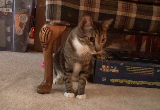 Mittens