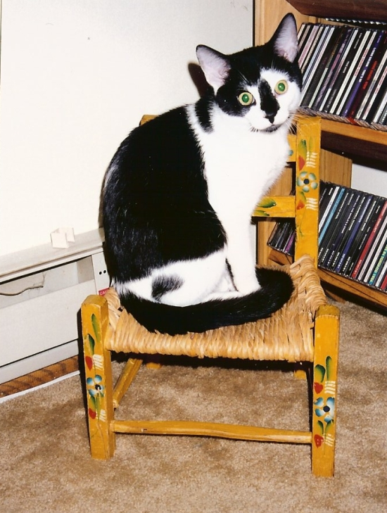 Simon